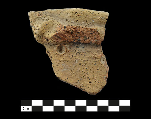 Middle Bronze Age pottery from the excavation - 2