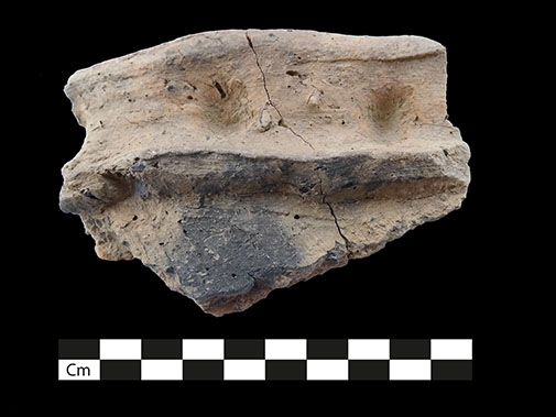 Middle Bronze Age pottery from the excavation