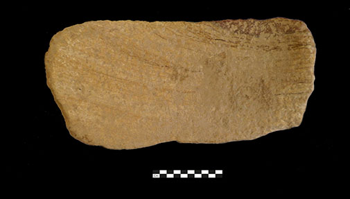 Limestone grinding stone from the excavation